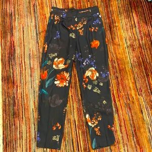 Express spring pants